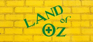 Land of Oz CBD and Kratom, 8639 W Central Ave, Wichita, KS 67212, United States